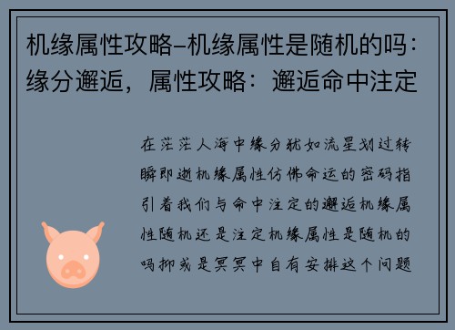 机缘属性攻略-机缘属性是随机的吗：缘分邂逅，属性攻略：邂逅命中注定