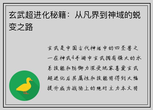 玄武超进化秘籍：从凡界到神域的蜕变之路